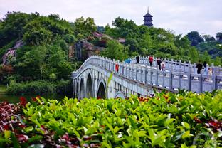 摩根转发哈弗茨庆祝社媒：你用表现让那些批评者住嘴，包括我